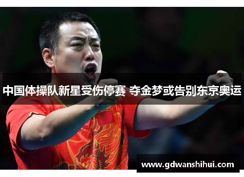 中国体操队新星受伤停赛 夺金梦或告别东京奥运